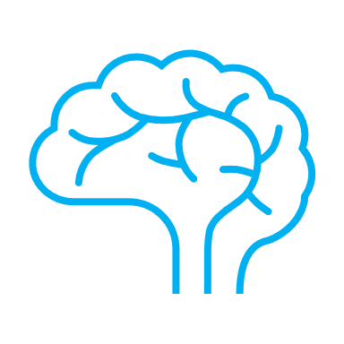 brain