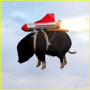 Are Pigs Starting to Fly?