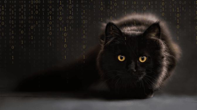 Digital Communications Meets Schrödinger’s Cat