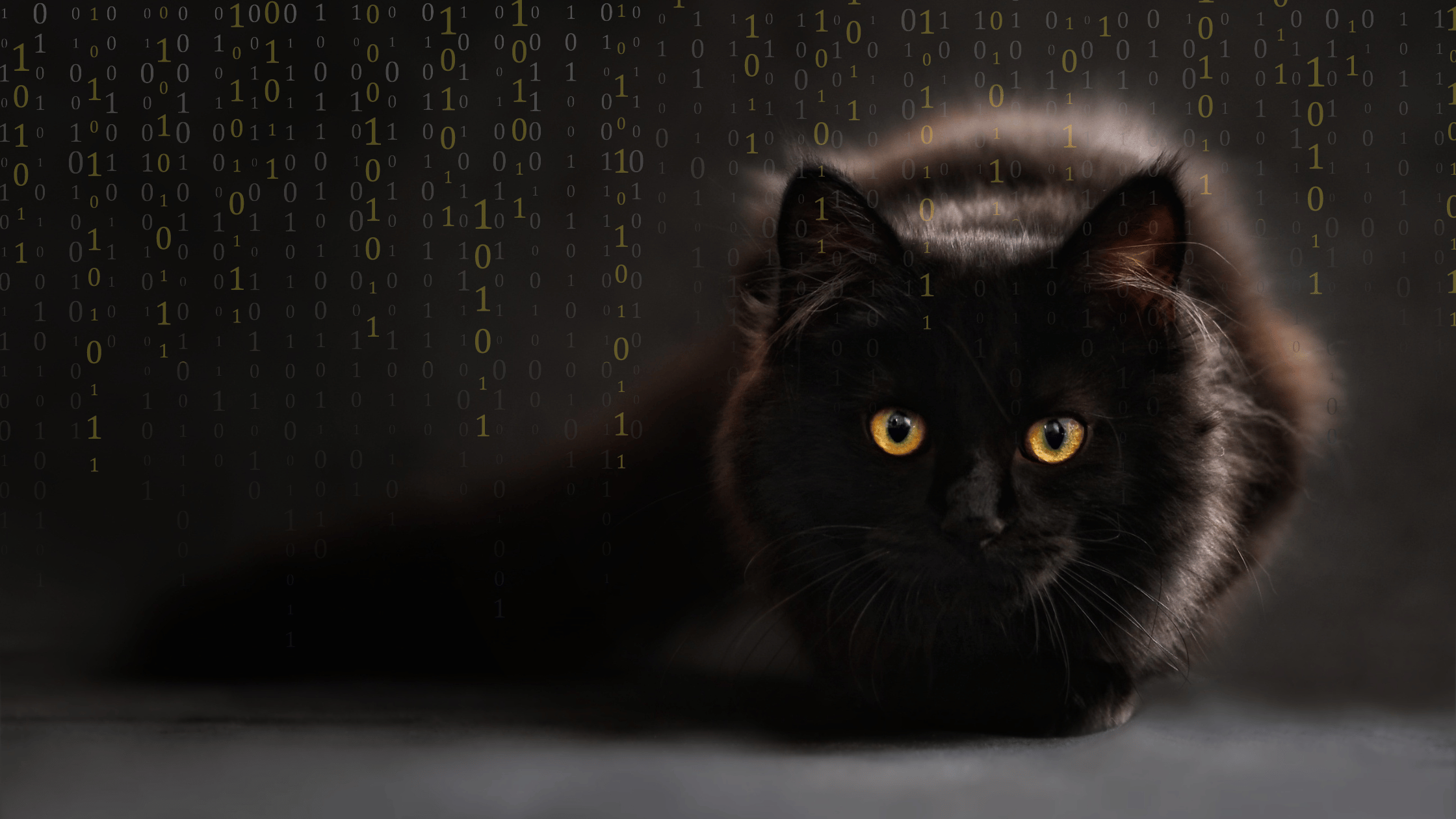 Unified Communications Meets Schrödinger’s Cat