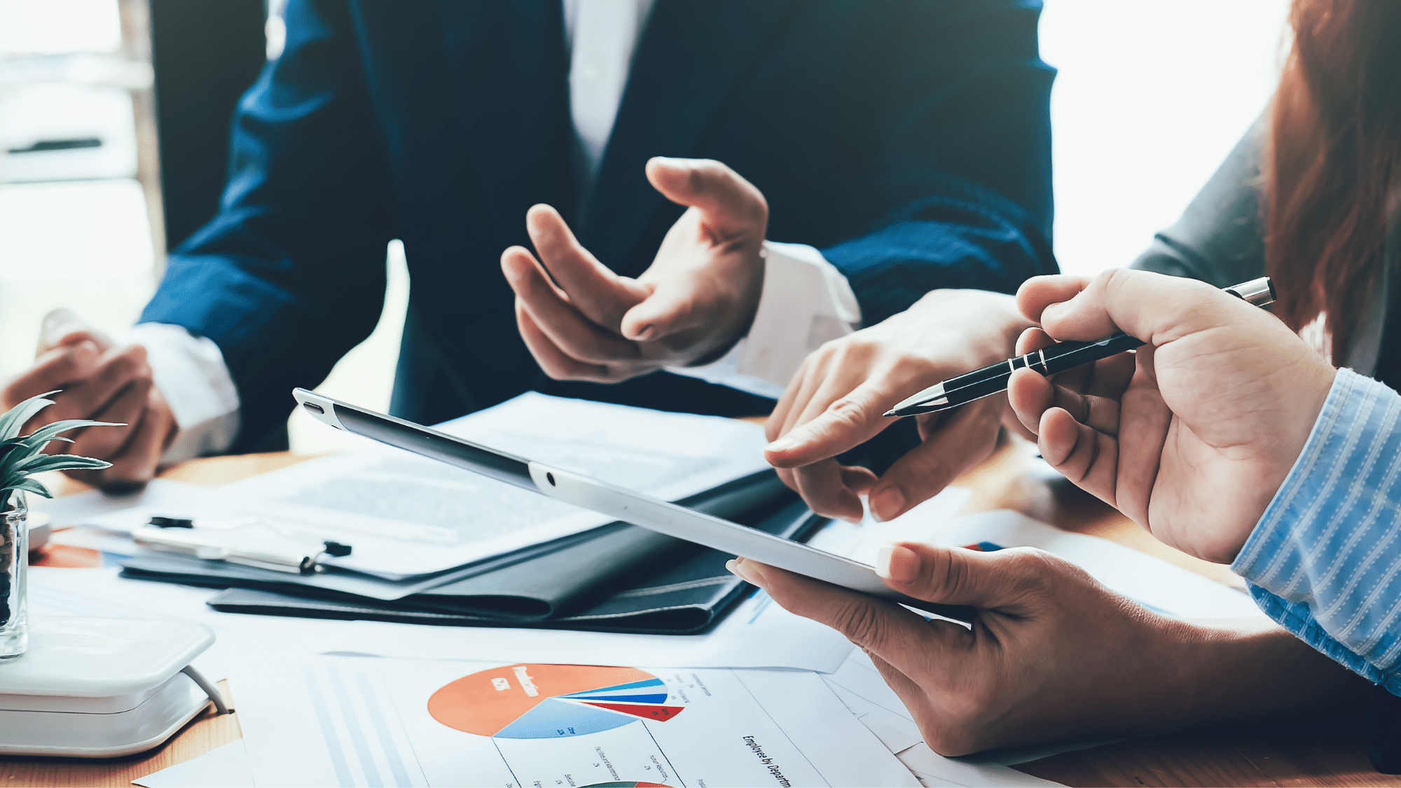 Database Retierment Application & Data Retirement Solution.